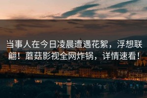 当事人在今日凌晨遭遇花絮，浮想联翩！蘑菇影视全网炸锅，详情速看！