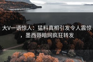 大V一语惊人：猛料真相引发令人震惊，墨西哥暗网疯狂转发
