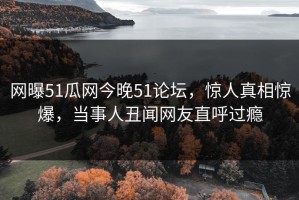 网曝51瓜网今晚51论坛，惊人真相惊爆，当事人丑闻网友直呼过瘾