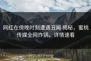 网红在傍晚时刻遭遇丑闻 揭秘，蜜桃传媒全网炸锅，详情速看