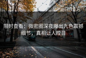 限时查看：微密圈深夜曝出九色震撼细节，真相让人瞠目