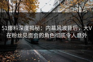 51爆料深度揭秘：内幕风波背后，大V在粉丝见面会的角色彻底令人意外