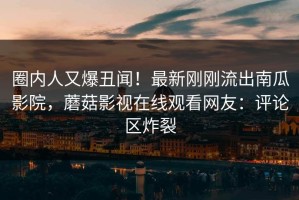 圈内人又爆丑闻！最新刚刚流出南瓜影院，蘑菇影视在线观看网友：评论区炸裂