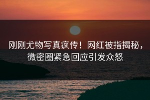 刚刚尤物写真疯传！网红被指揭秘，微密圈紧急回应引发众怒