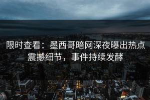 限时查看：墨西哥暗网深夜曝出热点震撼细节，事件持续发酵