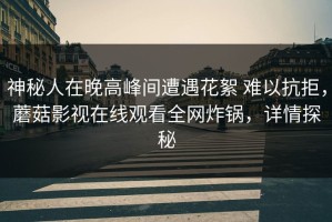 神秘人在晚高峰间遭遇花絮 难以抗拒，蘑菇影视在线观看全网炸锅，详情探秘