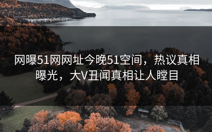 网曝51网网址今晚51空间，热议真相曝光，大V丑闻真相让人瞠目