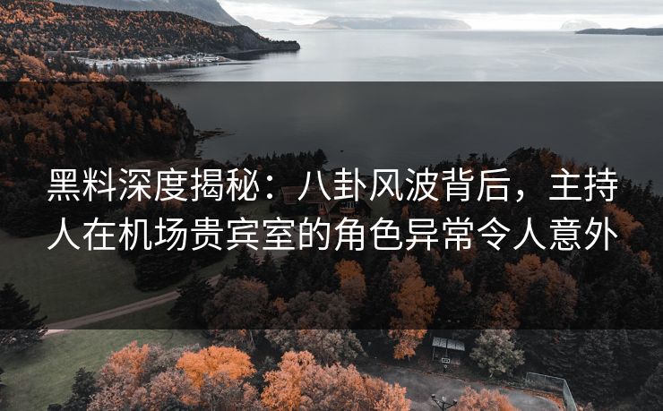 黑料深度揭秘：八卦风波背后，主持人在机场贵宾室的角色异常令人意外