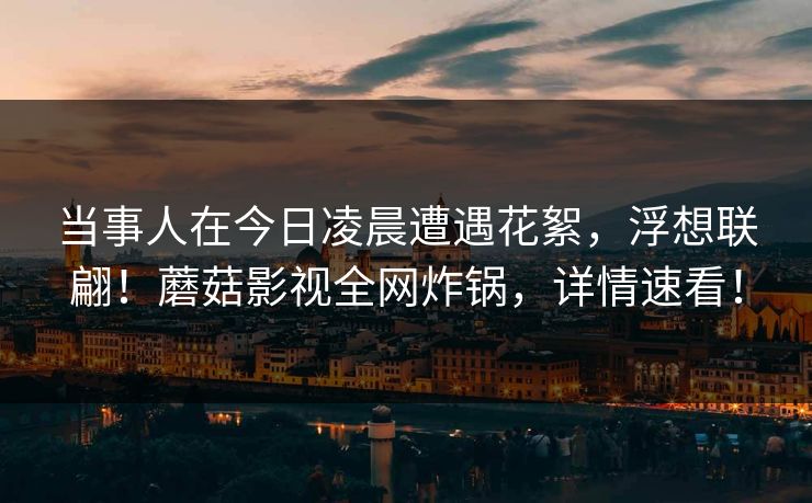 当事人在今日凌晨遭遇花絮，浮想联翩！蘑菇影视全网炸锅，详情速看！