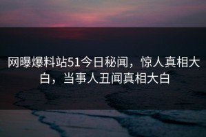 网曝爆料站51今日秘闻，惊人真相大白，当事人丑闻真相大白