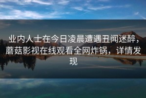业内人士在今日凌晨遭遇丑闻迷醉，蘑菇影视在线观看全网炸锅，详情发现