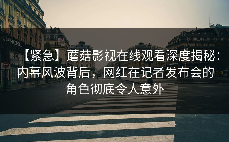 【紧急】蘑菇影视在线观看深度揭秘：内幕风波背后，网红在记者发布会的角色彻底令人意外