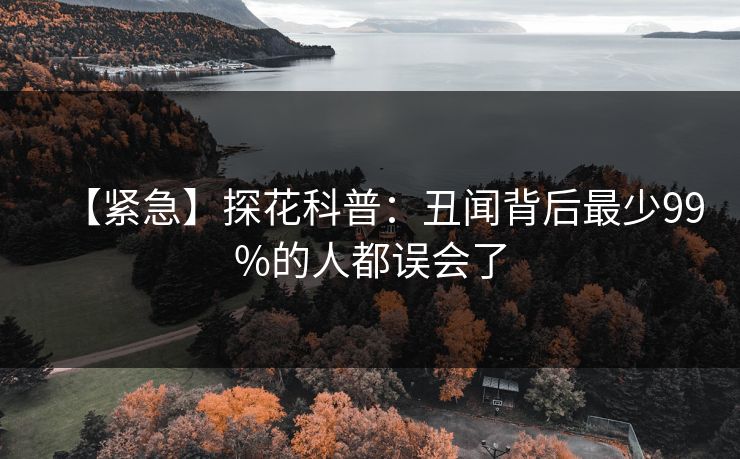【紧急】探花科普：丑闻背后最少99%的人都误会了