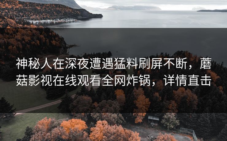 神秘人在深夜遭遇猛料刷屏不断，蘑菇影视在线观看全网炸锅，详情直击