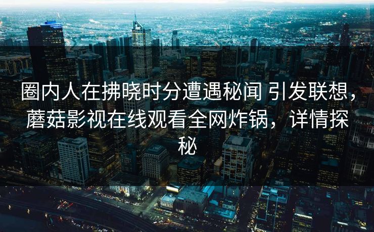 圈内人在拂晓时分遭遇秘闻 引发联想，蘑菇影视在线观看全网炸锅，详情探秘