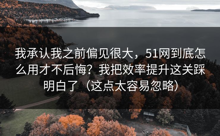 我承认我之前偏见很大,51网到底怎么用才不后悔?我把效率提升这关踩明白了(这点太容易忽略) 我承认我之前偏见很大,51网到底怎么用才不后悔?我把效率提升这关踩明白了(这点太容易忽略)